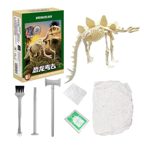 Krujecnt Dinosaurier-Fossilien-Ausgrabungsset, Dinosaurier-Ausgrabungsset - Dinosaurier-Skelett-Modellbausatz,Dinosaurier-Fossil-Ausgrabungsmodell, 3D-Skelett-Puzzle Dino für Schule, Kindergarten, von Krujecnt