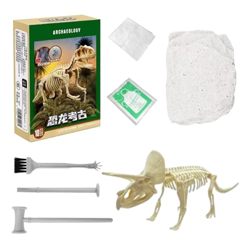 Krujecnt Dinosaurier-Fossilien-Ausgrabungsset,Dinosaurier-Fossilien-Ausgrabungsset | Dinosaurier-Skelett-Modellbausatz - Dinosaurier-Fossil-Ausgrabungsmodell, 3D-Skelett-Puzzle Dino für Schule, von Krujecnt