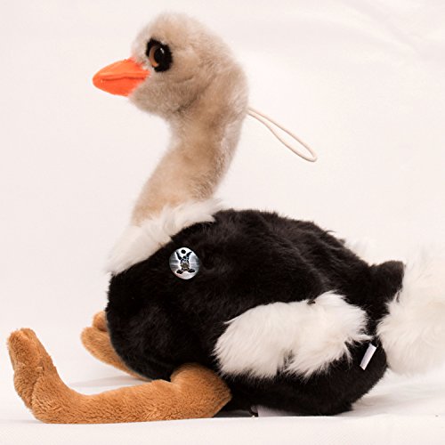 Strauß Kuscheltier Vogel Laufvogel 44 cm Plüschtier Speedy - Kuscheltiere*biz Strauß Kuscheltier Vogel Laufvogel 44 cm Plüschtier Speedy - Kuscheltiere*biz von Kuscheltiere.biz