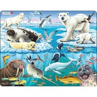 Puzzle - Tiere der Arktis von Raute Media