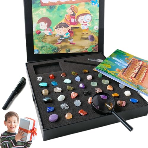 LAANCOO 43pcs Rocksammlungen für Kinder, 43 Verschiedene Edelsteine ​​für Kinder, Rockkollektion mit Box, Mineral Education Set Science Gift für Jungen Mädchen von LAANCOO