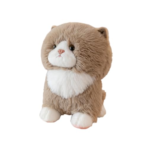 LAARNT 25cm Katze Katze Plüschspielzeug, süße Katze Puppe Puppe, Katze Kissen Spielzeug, Plüsch Katze Puppe, Plüsch Spielzeug, Heimtextilien, Khaki von LAARNT