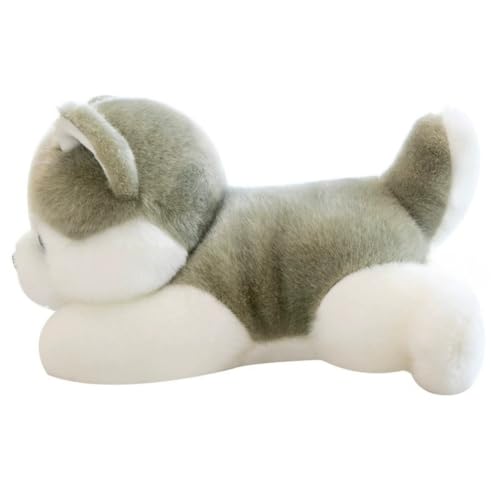 LAARNT 28cm Husky Plüschtier，Stofftier Hund Kuscheltier, Kawaii Stoffhund Plüsch Spielzeug，Hund Plüschkissen，Gefülltes Flauschiges Plüsch Tier Kissen Umarmungskissen Dekokissen Spielzeug von LAARNT