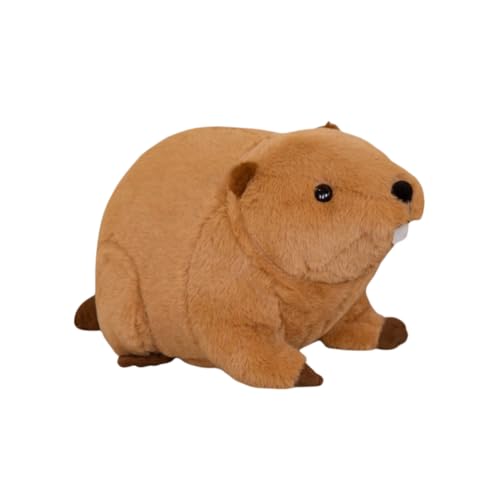 LAARNT 45cm niedlich und kuschelig Simulation Biber Ratte Puppe, Plüschtier Schlafkissen Ornament, Biber Ratte Puppe, Plüschtier, lustige Puppen von LAARNT