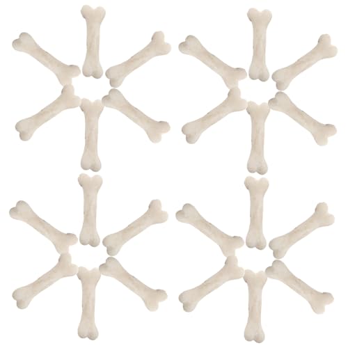 LABRIMP 20 Stück Teiliges Miniatur Hunde Knochen aus Resin Realistische Künstliche Mini Knochen für DIY Basteln Halloween Dekoration Edukative Handarbeitsprojekte und Haustierspielzeug LABRIMP 20 Stück Teiliges Miniatur Hunde Knochen aus Resin Realistische Künstliche Mini Knochen für DIY Basteln Halloween Dekoration Edukative Handarbeitsprojekte und Haustierspielzeug von LABRIMP