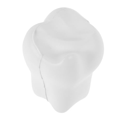 LABRIMP Zahnförmiger Schaumstoff Stressball Langlebiges Quetschspielzeug für Erwachsene und Tragbares Antistressspielzeug Zahnarzt und Party LABRIMP Zahnförmiger Schaumstoff Stressball Langlebiges Quetschspielzeug für Erwachsene und Tragbares Antistressspielzeug Zahnarzt und Party von LABRIMP