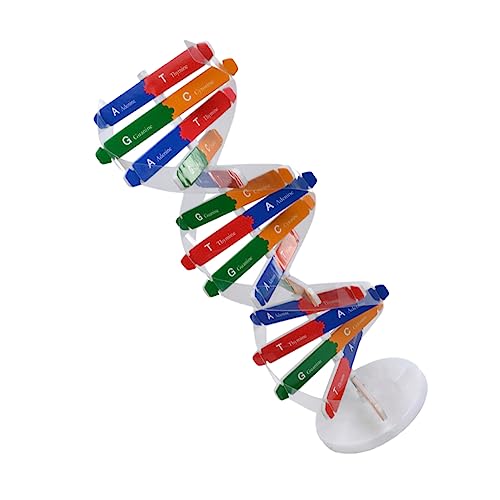 LALADEFIEE 1 Satz DNA-Doppelhelix DNA-Modellbausatz Wissenschaftliches Lernspielzeug zabawki stymulujące rozwój Educational Toys Spielzeug für Wissenschaftsunterricht Selbstbaumodell Papier von LALADEFIEE