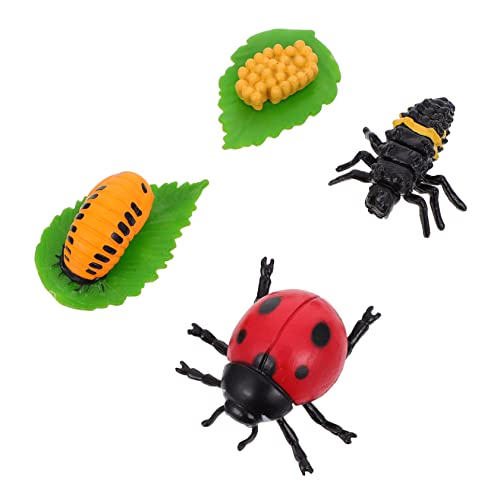 LALADEFIEE 4pcs Realistische Marienkäfer Lebenszyklus Spielzeug Insekten Figuren Für Kinder Dekorative Spielzeug von LALADEFIEE