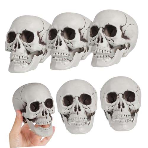 LALADEFIEE 6 Stück Halloween Künstlicher Angstschädel Dekoration Für Geisterhaus Gruselige Partyzubehör Ideales Ornament Für Halloweenfeiern Und Deko Ideen von LALADEFIEE