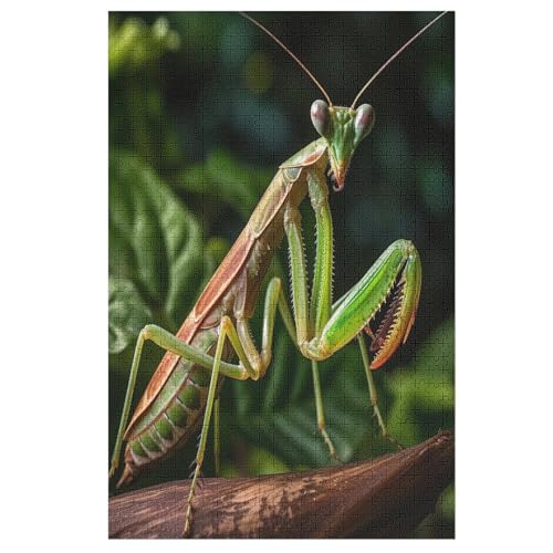 Praying Mantis Holzpuzzle 1000 Teile, Knobelspiele Für Erwachsene, Teenager, Puzzles Unmögliche - Kinder Puzzle Zimmer Deko 78×53cm Praying Mantis Holzpuzzle 1000 Teile, Knobelspiele Für Erwachsene, Teenager, Puzzles Unmögliche - Kinder Puzzle Zimmer Deko 78×53cm von LCWWW
