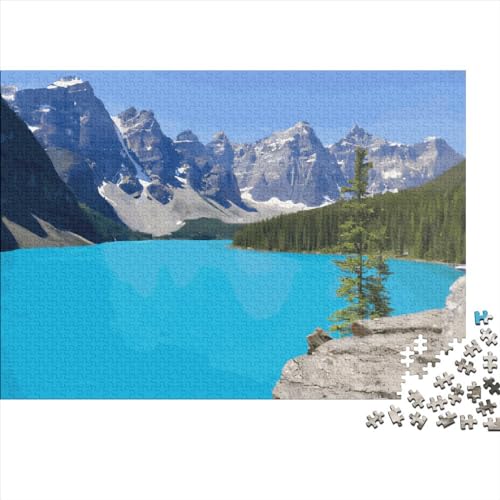 1000 Teile See-Natur-Puzzle für Erwachsene und Kinder, kreatives rechteckiges Puzzle, Holzpuzzle, lustiges Lernspielzeug, 1000 Teile (75 x 50 cm) von LCZLCZ