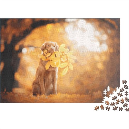 1000 Teile kreatives Puzzle, Hundekunstwerk, Geschenk, rechteckiges Puzzle-Spielzeug für Erwachsene, 1000 Teile (75 x 50 cm) von LCZLCZ