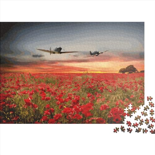 1000-teiliges rechteckiges Puzzle für Erwachsene, Spitfire Fighter, kreative Puzzle-Herausforderung, Spielzeugpuzzle, 1000 Teile (75 x 50 cm) von LCZLCZ