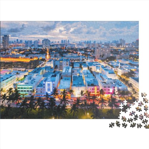 Florida View Puzzle 1000 Teile für Erwachsene Puzzle Lernspiele 1000 Teile (75x50cm) von LCZLCZ