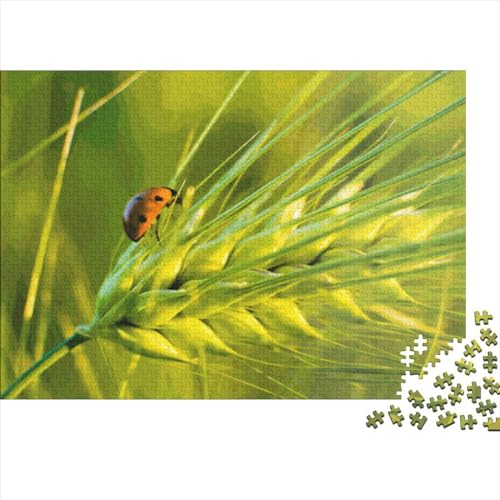 Kreatives Marienkäfer-Kunstwerk, Geschenk, Holz, 1000 Teile, Puzzle für Erwachsene, rechteckiges Puzzle, Gehirnübung, Herausforderungsspiel, 1000 Teile (75 x 50 cm) von LCZLCZ