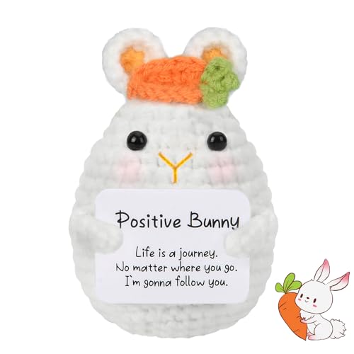 Positive Kaninchen Pocket Hug, Positive Hase Mit Positiver Energiekarte, Lustige Kaninchen Strickpuppe Sachen, Glücksbringer Geschenke Für Kinder Erwachsene, Ostern Geschenk von LEEWENYAN