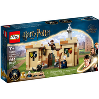 LEGO® HARRY POTTER™ 76395 Hogwarts™: Erste Flugstunde von LEGO® HARRY POTTER™