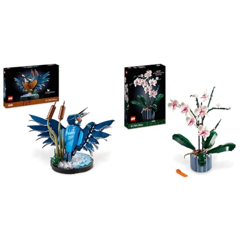 LEGO Icons Eisvogel Modellbausatz für Erwachsene, Vogel-Modell & Icons Orchidee, Künstliche Pflanzen Set mit Blumen, Modellbausatz von LEGO