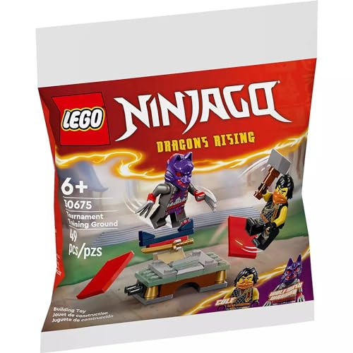 Lego Ninjago 30675 Bodenbausatz, 49-teilig von LEGO