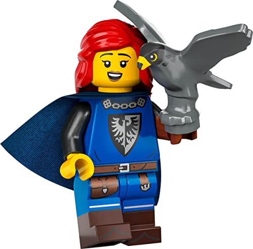 LEGO Sammelfiguren Minifiguren Serie 24 - Falconer mit Ständer und Zubehör 71037 (verpackt), Mehrfarbig,S von LEGO