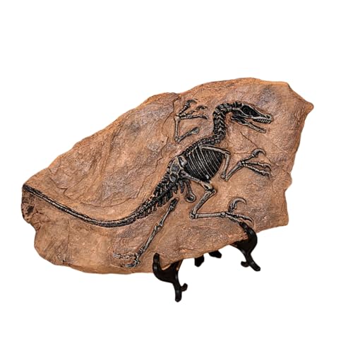 LEIDJGUN Handcrafts Dinosaurier Fossilien Modell Simuliertes Dinosaurier Skelett Kunstharz Statue Figur Für Heimdekorationen Und Pädagogische Zwecke von LEIDJGUN