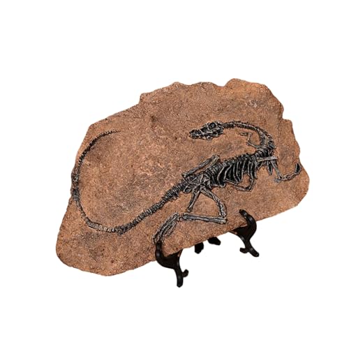 LEIDJGUN Handcrafts Dinosaurier Fossilien Modell Simuliertes Dinosaurier Skelett Kunstharz Statue Figur Für Heimdekorationen Und Pädagogische Zwecke von LEIDJGUN