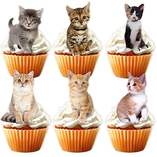 18 Stück Glitzer Katze Dessert Cupcake Topper Pick für niedliche schöne Katze Thema Dekorationen Babyparty Jungen Mädchen Happy Birthday Party Dekor Zubehör von LETLIMIT