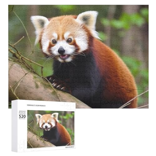 Little Red Panda Puzzle für Erwachsene, 520 Teile, einzigartiges Holzpuzzle, Geschenk, herausforderndes Puzzle für Familienspielabende, 38,1 x 50,8 cm von LFDSPYJE