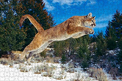 LHJOY Puzzle unterlagen Puzzle 1000 Teile Puma großes Katzentier Geburtstagsgeschenk 75x50cm von LHJOY