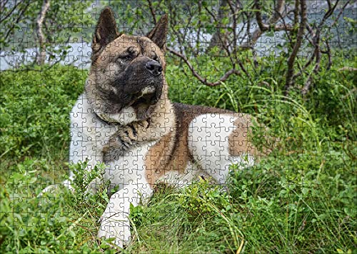 LHJOY puzzle-1000-teile Amerikanischer Akita-Hund, der auf Gras-Tier liegt Geburtstagsgeschenk 75x50cm von LHJOY