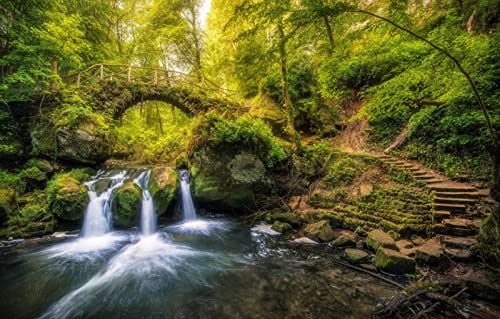 LHJOYSP Puzzle 3D Puzzle 1000 Teile,natürliche Schönheit,Wald,Brücke,Wasserfall,Luxemburg,Fluss Heerz,75x50cm von LHJOYSP