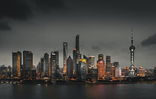 LHJOYSP 3D Puzzle 1000 Teile City Lights Architektur Shanghai China 75x50cm von LHJOYSPSP