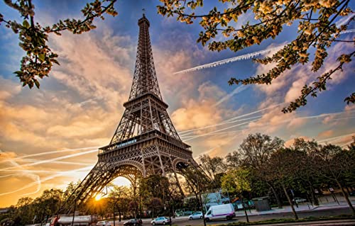 LHJOYSP Jigsaw Puzzle 1000 Teile Eiffelturmlandschaft im Frühjahr in der Stadt Paris, Frankreich 75x50cm von LHJOYSPSP