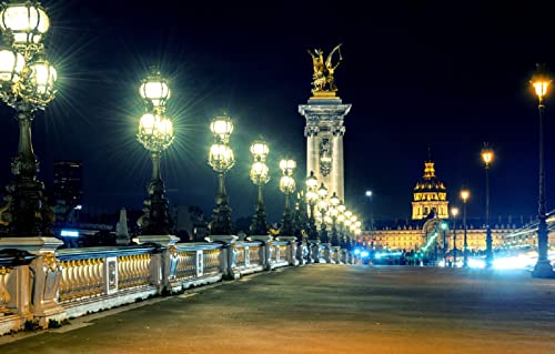 LHJOYSP Puzzle 1000 Teile Weltkarte Lichter der Stadt Nacht Paris Frankreich Architektur Lichter Pont Alexandre III 75x50cm von LHJOYSPSP