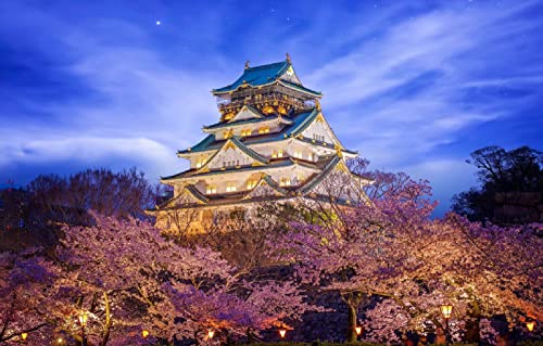 LHJOYSP Puzzle Kids Puzzle 1000 Teile Stadtburg Japan beleuchtet Osaka Himeji Castle 75x50cm von LHJOYSPSP