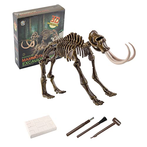 Dinosaurier-Ausgrabungsspielzeug, Dinosaurier Fossil Spielzeug, Dinosaurier Knochen Fossilien Skelett Dinosaurier Spielzeug Ausgrabungsset Mammut, Lernspielzeug Fossil Digging Kit Geschenk für Kinder von LICHENGTAI