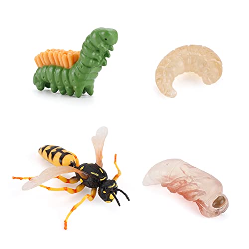 LICHENGTAI Tiere Lebenszyklus Figuren, Insekten Spielzeug Lebenszyklus Kunststoff Tierfiguren Kinder Pädagogische Modell Lernspielzeug Desktop Dekoration Lernspielzeug für Kinder von LICHENGTAI