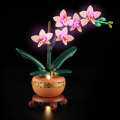 LIGHTAILING Licht-Set Für Lego-10343 Mini-Orchidee - Led-Beleuchtungsset Kompatibel Mit Lego Bausteinen Modell - Modell Set Nicht Enthalten von LIGHTAILING