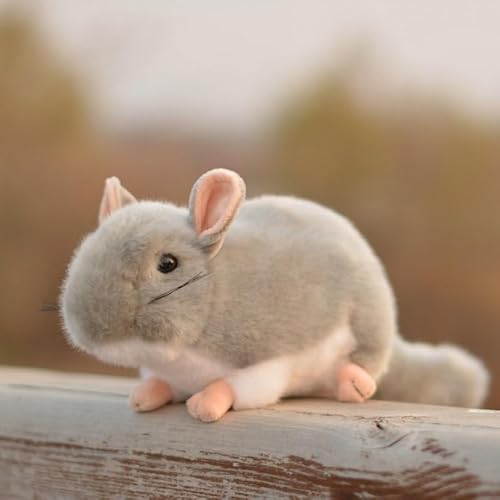 LIUHONGFEI Simulation Maus Plüschtier Lebensechte Stofftierpuppe Weiße Maus Ratte (Graue Maus) von LIUHONGFEI