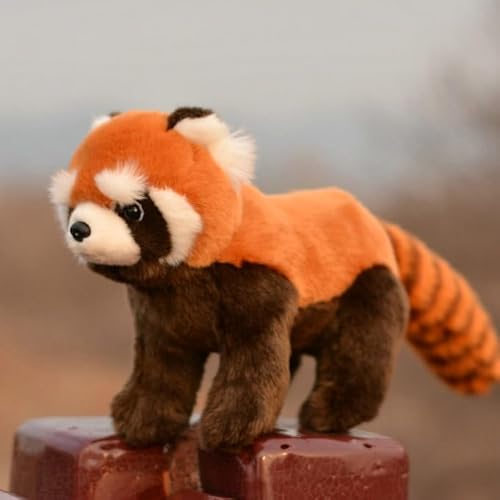 LIUHONGFEI Simulation Red Panda Plush Toy Stuffed Animal Doll There is Aluminum Wire in The Limbs so it can Stand Firmly.(There is Aluminum Wire in The Limbs and it can Stand Stably.) von LIUHONGFEI