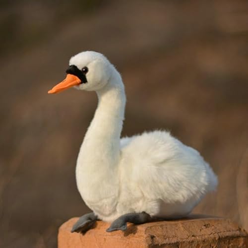 LIUHONGFEI Simulation Schwan Plüschtier, hässliches Entchen Stofftier Puppe Schwarzer Schwan Es gibt Aluminiumdraht im Hals zur Unterstützung (Weißer Schwan) von LIUHONGFEI