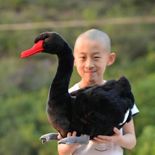 LIUHONGFEI Simulation Swan Plüschtier, schwarzer Schwan, Stofftier hässliche Entchenpuppe Es gibt Aluminiumdraht im Hals (Schwarzer Schwan。) von LIUHONGFEI