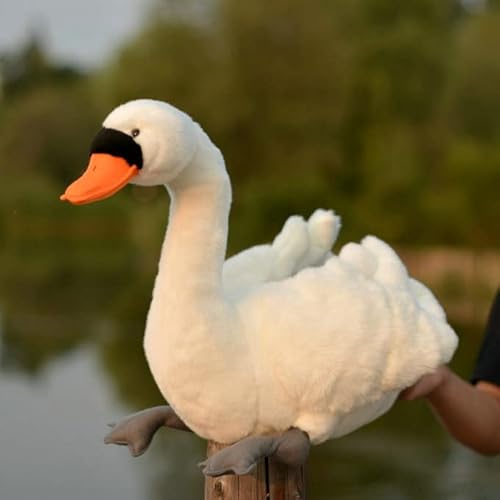 LIUHONGFEI Simulation Swan Plüschtier, schwarzer Schwan, Stofftier hässliche Entchenpuppe Es gibt Aluminiumdraht im Hals (weißer Schwan。) von LIUHONGFEI