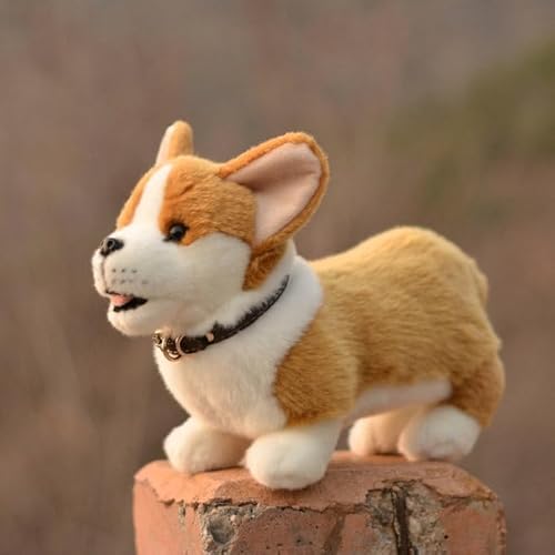 LIUHONGFEI Simulation Welsh Corgi Plush Toy Stuffed Animal Puppy Doll There is Aluminum Wire in The Four Limbs and it can Stand Firmly. (The Four Limbs Have Aluminum Wire and can Stand Firmly.) von LIUHONGFEI