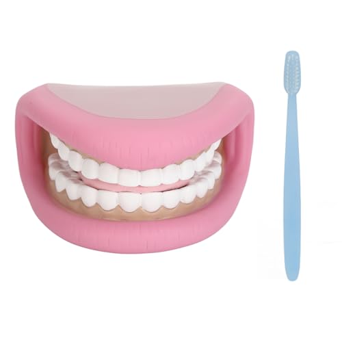 Mund-Handpuppe mit Zunge, 28 Zähne, Zungen-Mund-Handpuppe, Mundmodell mit Zahnbürste für Jungen und Mädchen, Lernwerkzeuge, Sprachverbesserung von LIZEALUCKY