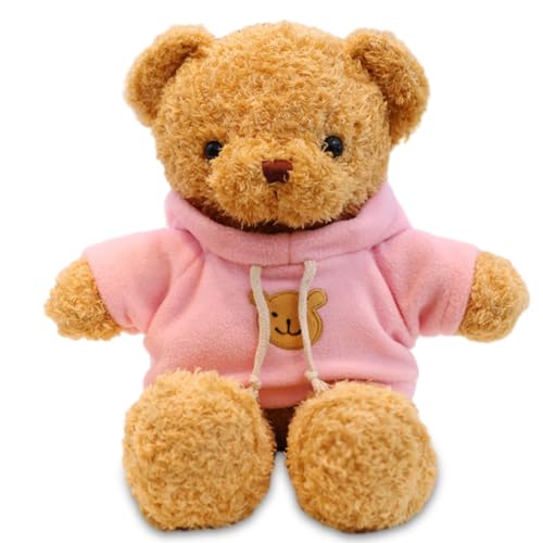 LKNBIF Teddybär Weiches Fell 30 cm Teddybär mit Kapuze Pfotenabdruck Plüschtier Kuscheltier Plüschtier Geschenk (Rosa) von LKNBIF