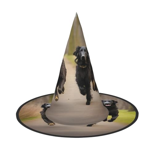 Halloween-Hut-Hut, Hexen-Dekoration, flach, beschichtet, Retriever, Pfotenabdruck, Party, Hexenkostüm, Cosplay, Maskerade-Zubehör, 3 Stück Halloween-Hut-Hut, Hexen-Dekoration, flach, beschichtet, Retriever, Pfotenabdruck, Party, Hexenkostüm, Cosplay, Maskerade-Zubehör, 3 Stück von LLOTPQ