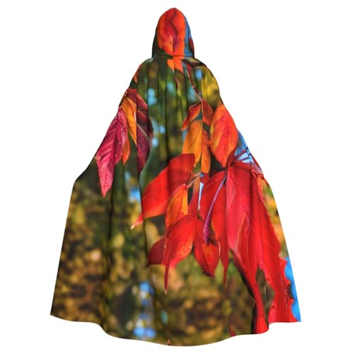 Halloween-Umhang mit Kapuze für Erwachsene, Unisex, rote Blätter und Früchte, Volldruck, Kostüm, Umhang für Cosplay, Party und Themenveranstaltungen Halloween-Umhang mit Kapuze für Erwachsene, Unisex, rote Blätter und Früchte, Volldruck, Kostüm, Umhang für Cosplay, Party und Themenveranstaltungen von LLOTPQ