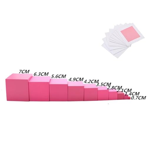 LLTCMYGS Family Montessori Sensorische rosa Bausteine Teaching AIDS, Kinder,Set and Projection Card von LLTCMYGS