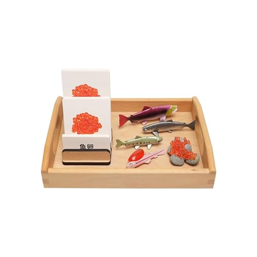 LLTCMYGS Montessori Fischwachstumszyklus-Modellset, wissenschaftliches Kognitionsspracherziehungs-Spielzeug für den Kindergarten LLTCMYGS Montessori Fischwachstumszyklus-Modellset, wissenschaftliches Kognitionsspracherziehungs-Spielzeug für den Kindergarten von LLTCMYGS